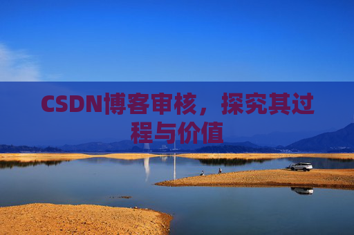 CSDN博客审核，探究其过程与价值